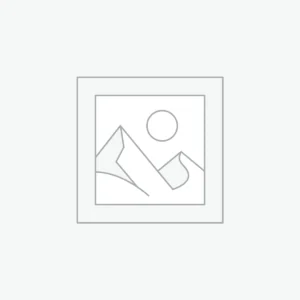Consultation Services